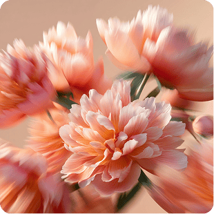 Монобукеты