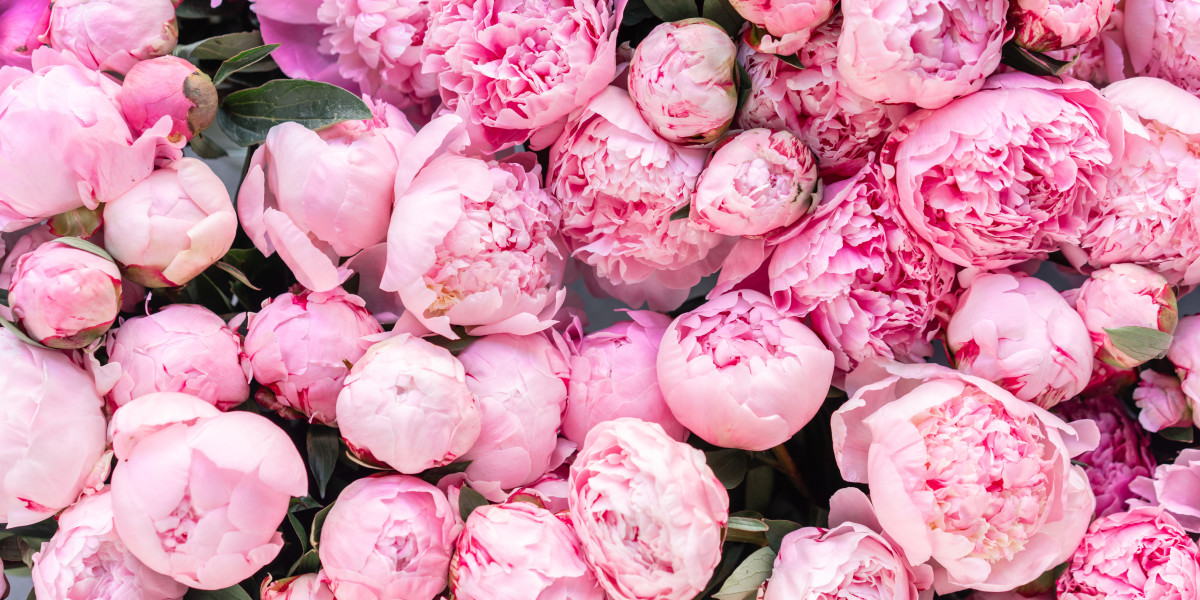 Фото Ключевые отличия между пионом и пионовидной розой: как отличить один цветок от другого