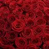 Фото 201 темно-красная роза (70 см)