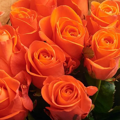 Фото Букет из 19 оранжевых роз