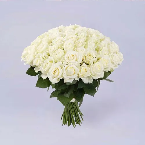 Фото 33 белые розы (50 см)