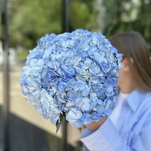 Фото Букет "Поцелуй ангела"