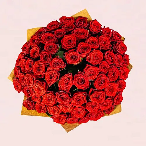 Фото 75 красных роз (50 см)