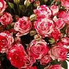 Фото 19 красно-белых кустовых роз