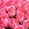 Фото Букет из роз «Розовое облако»
