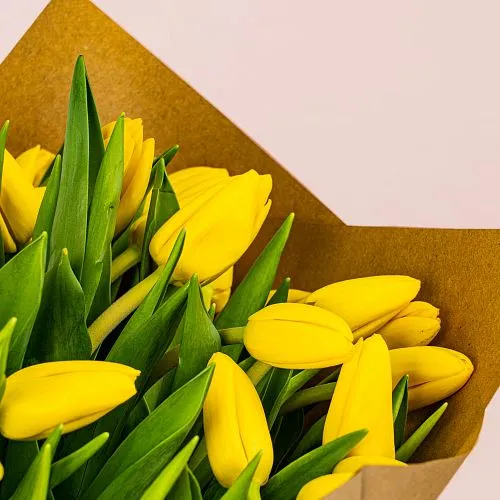 Фото 51 желтый тюльпан