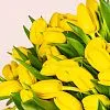 Фото 101 желтый тюльпан