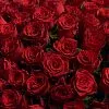 Фото 101 темно-красная роза (80 см)