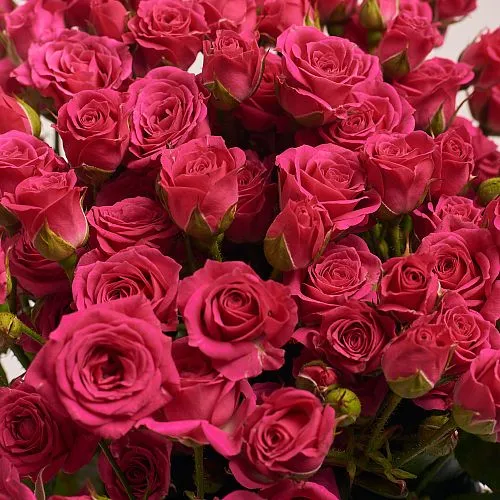 Фото Букет из 21 розовой розы