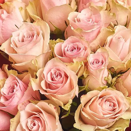 Фото Букет из роз «Романтичный»