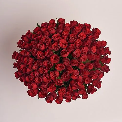 Фото 101 темно-красная роза (80 см)