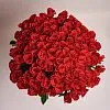 Фото 85 красных роз (70 см)