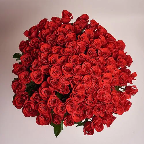 Фото 101 красная роза (60 см)