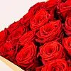 Фото 89 красных роз (50 см)