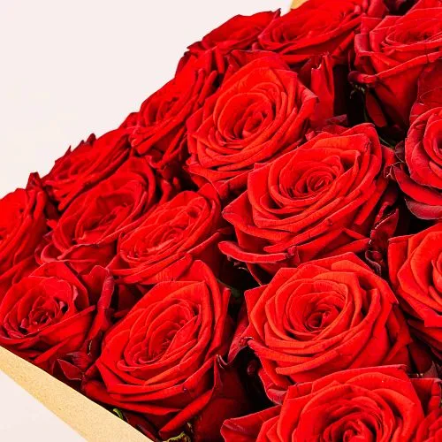 Фото 51 красная роза (50 см)