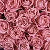Фото Букет из роз «Нежность лепестков»