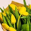 Фото 51 желтый тюльпан
