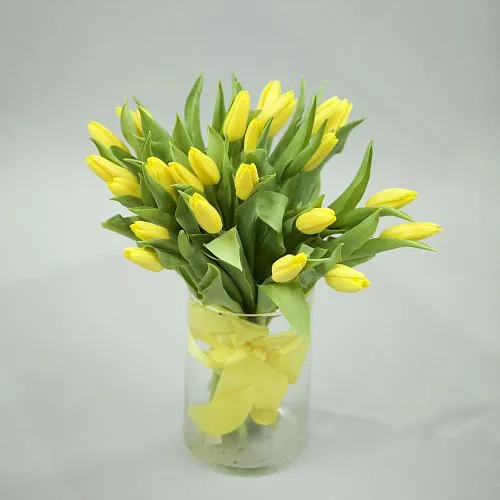 Фото 25 жёлтых тюльпанов