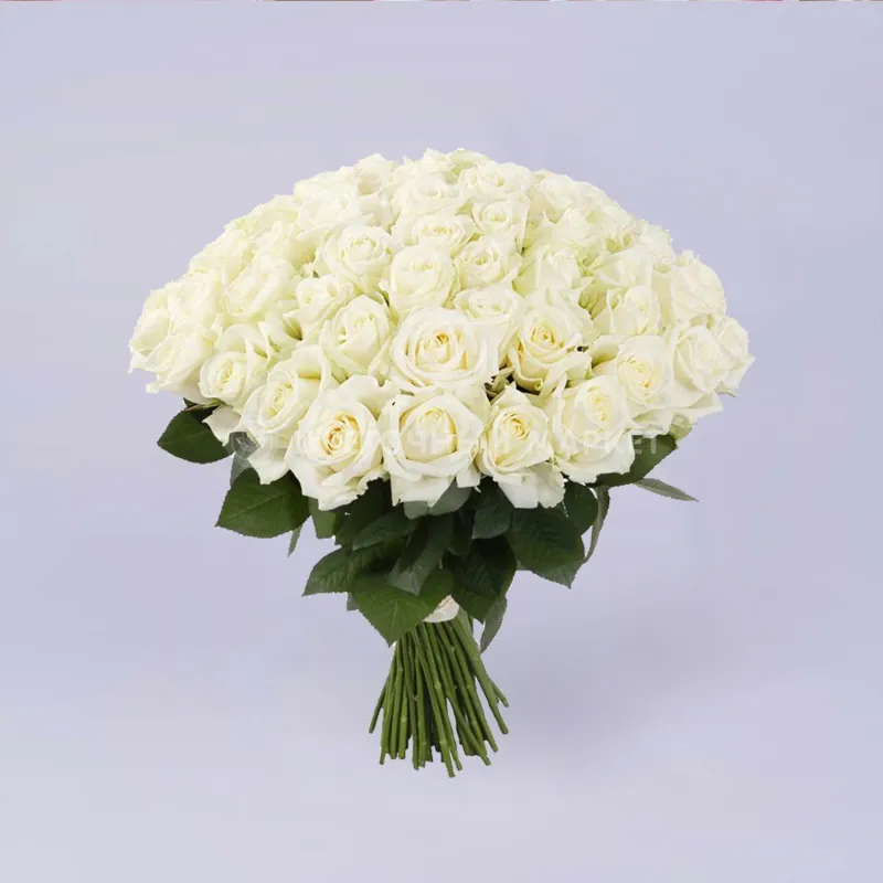 Фото 49 белых роз (60 см)