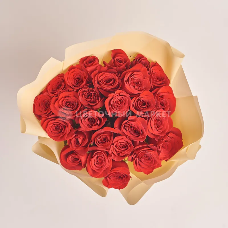 Фото 25 ярко-красных роз (60 см)