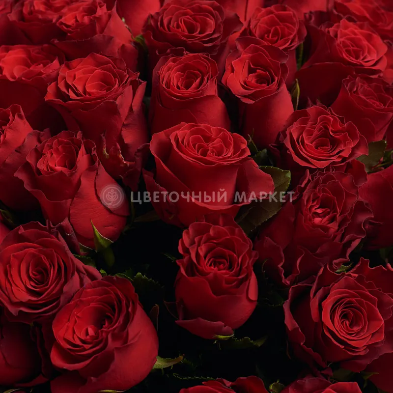 Букет из роз «Гранатовый» фото №2 Фото Букет из роз «Гранатовый»