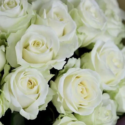 Букет из роз «Мгновение» фото №4 Фото Букет из роз «Мгновение»