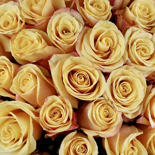 Букет из роз «Очаровательный» фото №4 Фото Букет из роз «Очаровательный»